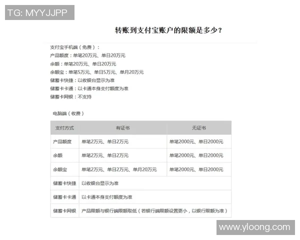 损失限额与存款限额的设定与调整权限管理探讨